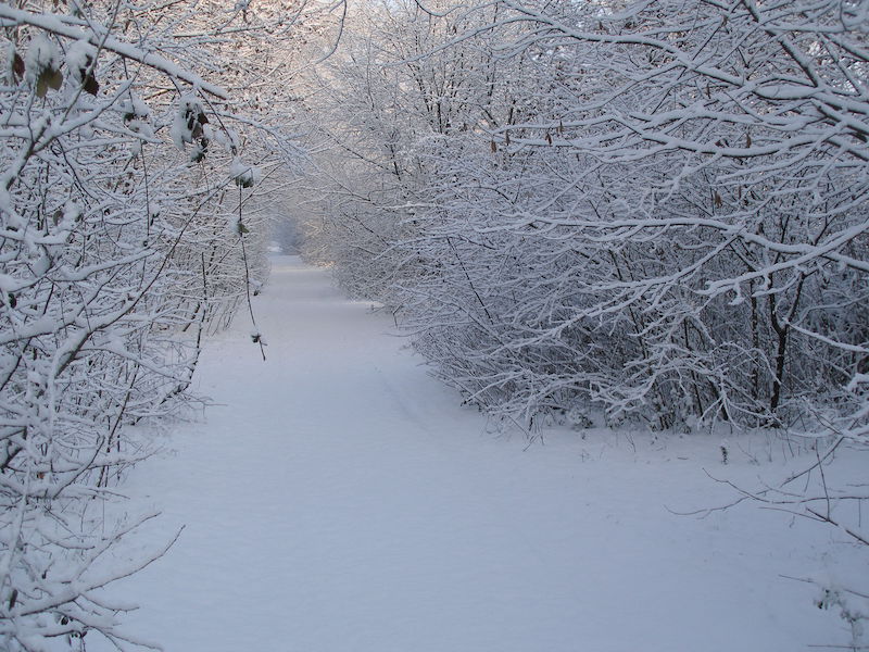 Nevicata al Parco Nord Milano